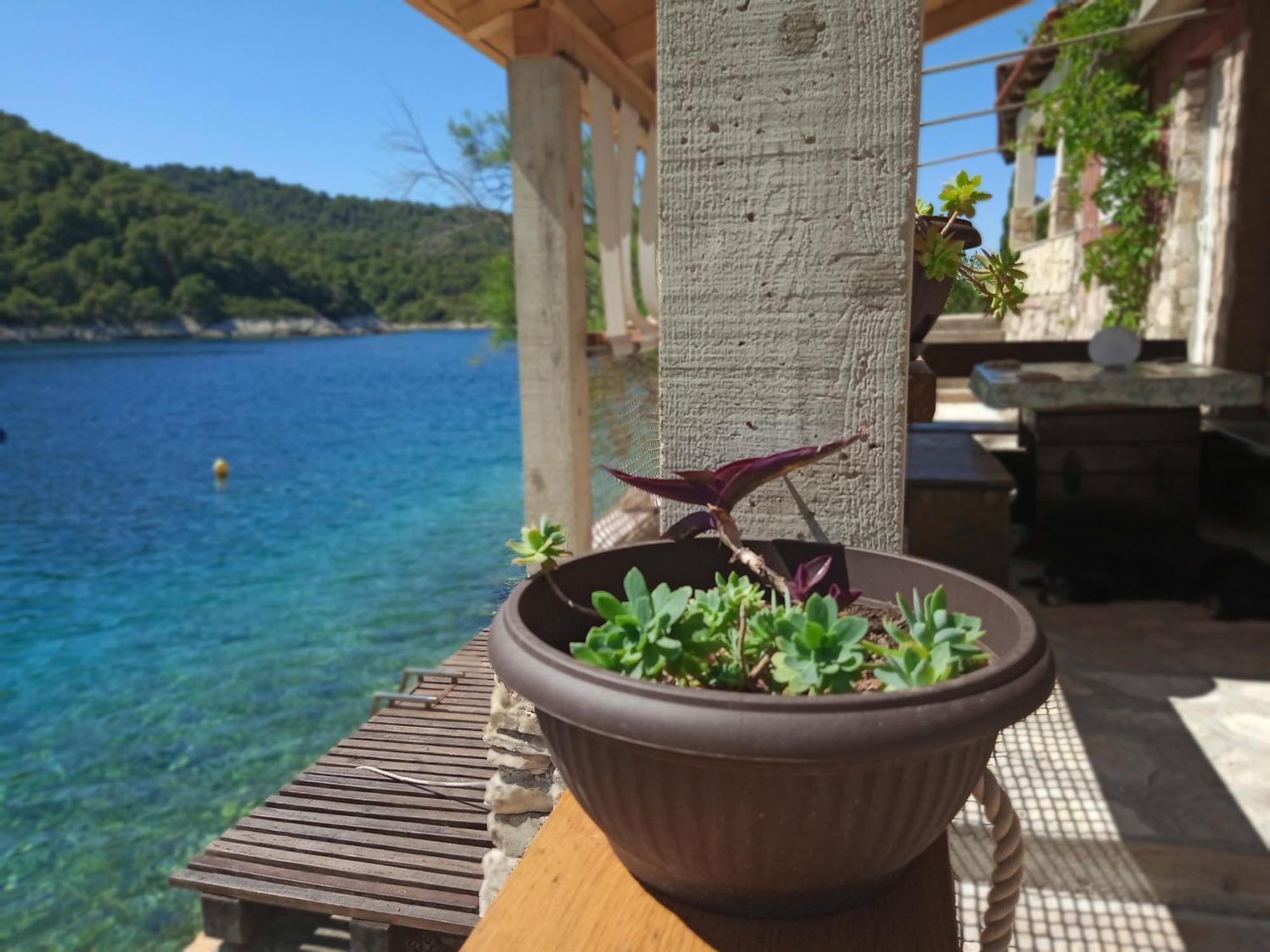 Sea Side House For Two In A Wilderness Villa Vis Exterior photo